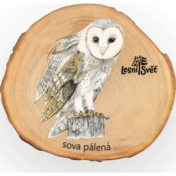 magnetka pro dítě Lesní svět Magnet letokruh - Sova pálená