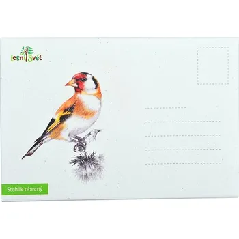 Puzzle Lesní svět Puzzle do kapsy - Stehlík