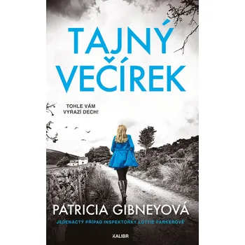 Kniha Tajný večírek - Patricia Gibneyová (E-Kniha)