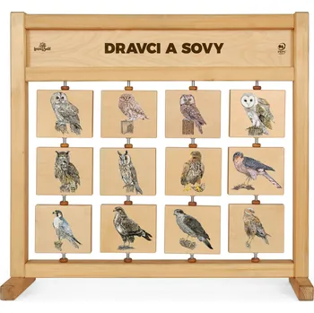 Výuková hračka Lesní svět Tabulky poznání stolní - Dravci a sovy