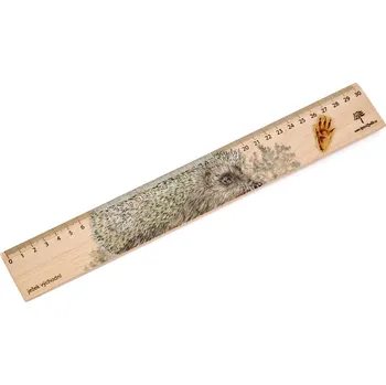 pravítka Lesní svět Dřevěné pravítko 30 cm - Ježek východní