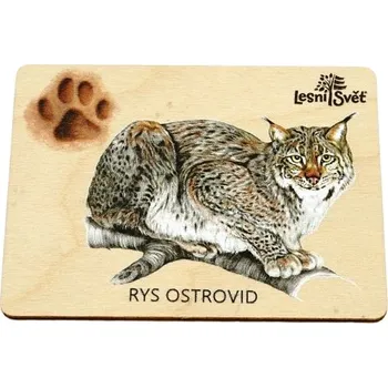 magnetka pro dítě Lesní svět Magnet velký - Rys