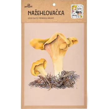 Textilní nažehlovací páska Lesní svět Nažehlovačka M 009 - Liška (houba)