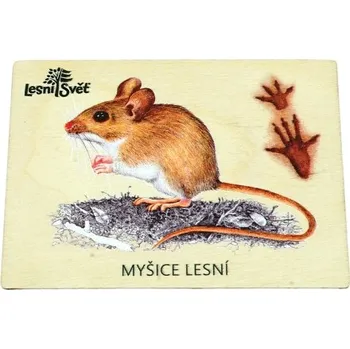 magnetka pro dítě Lesní svět Magnet velký - Myšice
