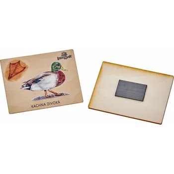 magnetka pro dítě Lesní svět Magnet velký - Kačer