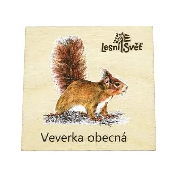 magnetka pro dítě Lesní svět Magnet malý - Veverka