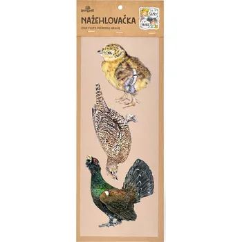 Textilní nažehlovací páska Lesní svět Nažehlovačka S 016 - Tetřeví rodinka