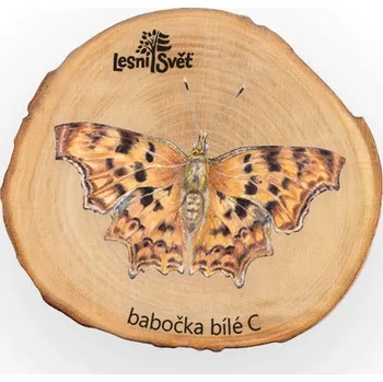 magnetka pro dítě Lesní svět Magnet letokruh - Babočka bílé C