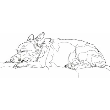 Plakát Plakát Spící štěně bez rámu, 91,3 x 44,5 cm