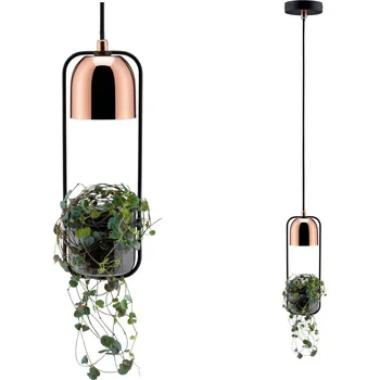Svítidlo PAULMANN Závěsné svítidlo Fanja 1-ramenné pro osvětlení rostlin černá/měď - PAULMANN P 79749