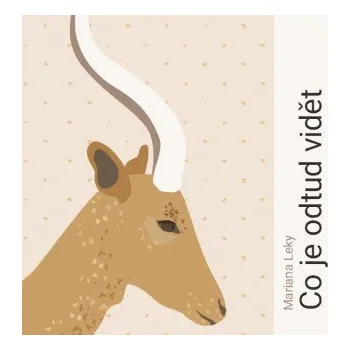 Co je odtud vidět - Mariana Leky