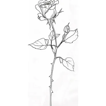 Plakát Plakát Obrys Růže bez rámu 40 x 50 cm