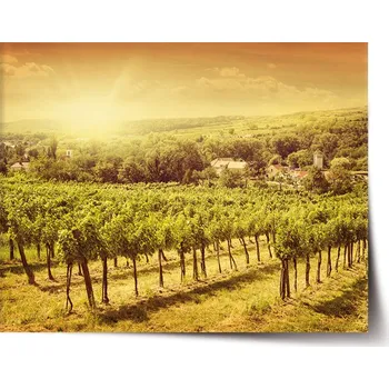 Sablio Plakát Vinice 120 x 80 cm