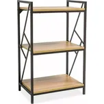 Regál Tablo 03 100 cm dub přírodní/černý