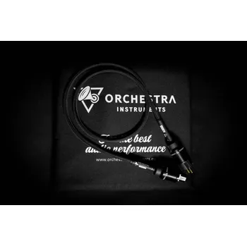 Orchestra Power Earth