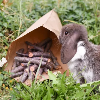 Krmivo pro hlodavce Větvičky jabloně Hmotnost: 50 g