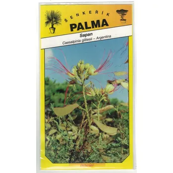 Semeno Sapan – Caesalpinia gilliesii