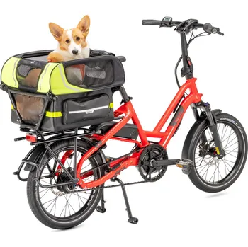 Obojek pro psa TERN Doghouse Mini