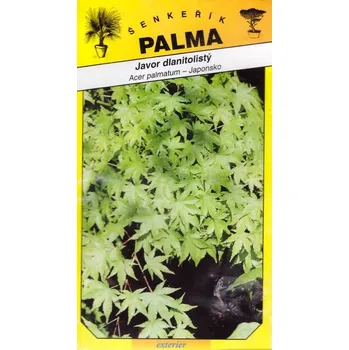 Semeno Semena Javor dlan.zelený velkosemenný–Acer palmatum Thunb