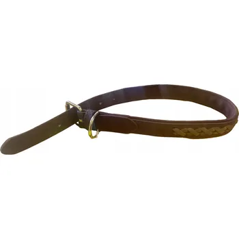 Obojek pro psa Obojek pro psa z ekologické kůže Activ Pet vel. M/L