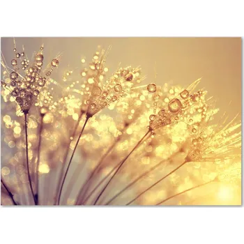 Obraz Skleněný panel Wallmuralia 70x100 cm tvrzené sklo hnědo-béžový