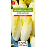 Osiva Moravia Čekanka salátová puková…