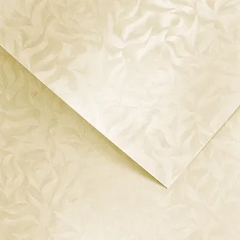 Vizitkový papír Papír na vizitky A4 220g 203422 Olympia krémový