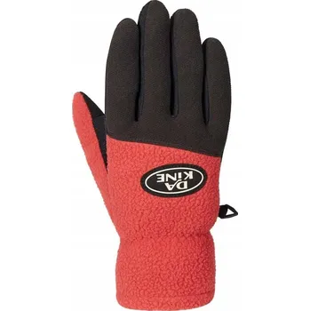 Rukavice Pánské rukavice Dakine Transit POLARTEC vel. L