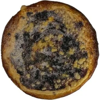 Trvanlivě pečivo Karlovský frgál tvarohový s borůvkami