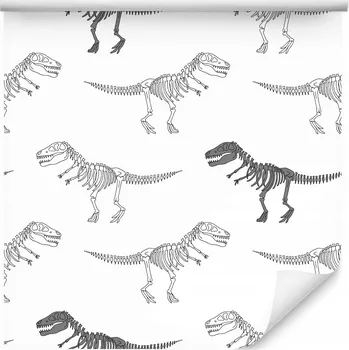 Fototapeta Tapeta pro děti dinosauři kostry zvířata