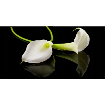 Obraz Skleněný panel do kuchyně Kala 140x70 cm + LEPIDLO