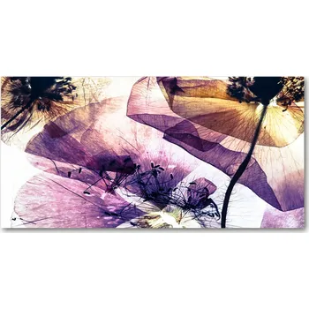 Obraz Ochranný panel Suché máky 120x60 cm + LEPIDLO
