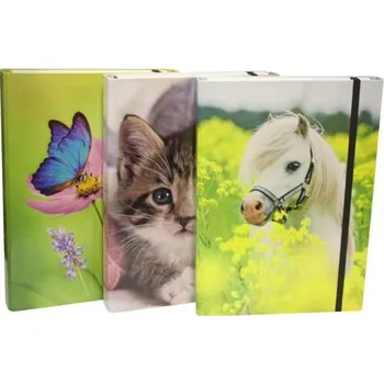 Archivační box Box na spisy a sešity - A4, 4 cm, mix vzorů