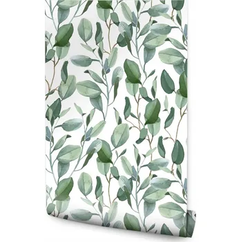 Fototapeta Tapeta Listy Eukalyptu jako Malované rostliny Pozadí