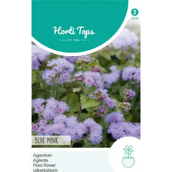 Semeno Semena - AGERÁT mexický 'BLUE MINK'