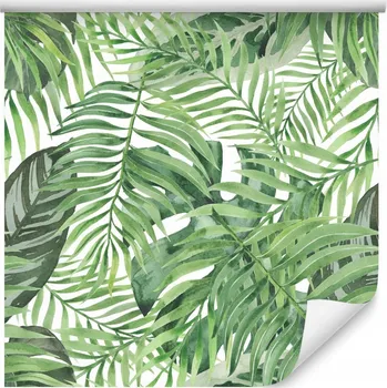 Fototapeta Tapeta do obýváku příroda tropické listy zeleň
