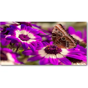 Obraz Kuchyňský panel Motýl na květině 120x60 cm + LEPIDLO