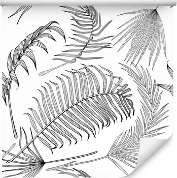 Fototapeta Tapeta do salonu černo-bílé palmové listy skica