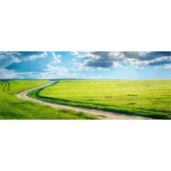 Obraz Lacobel sklo s fotopotiskem Cesta na louce XXL