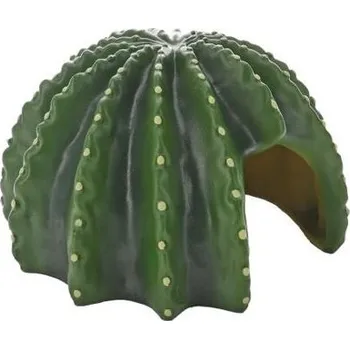 Cactus Home 2