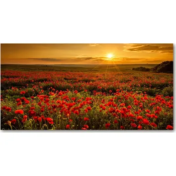 Obraz Ochranný panel Makové pole 140x70 cm + LEPIDLO