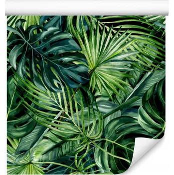 Fototapeta Tapeta do jídelny Malované Exotické LISTY Akvarel Monstera