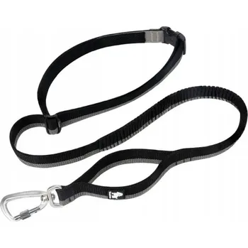 Vodítko pro psa Vodítko Truelove 2 m