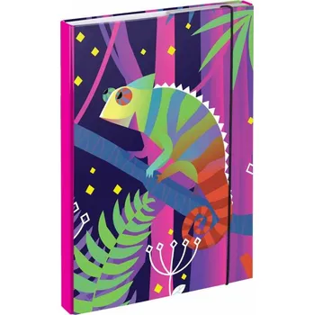 desky na sešit Desky na školní sešity A4 Baagl Chameleon