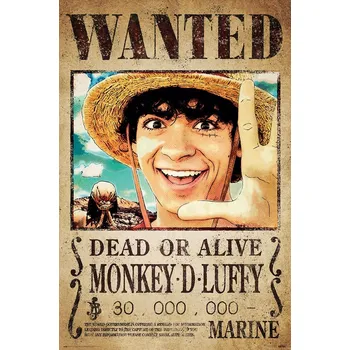 Obraz Plakát One Piece Wanted Monkey D. Luffy bez rámu 61 x 91,5 cm