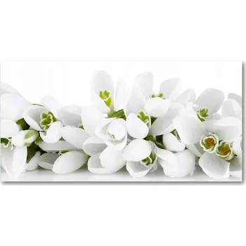 Obraz Ochranný panel Sněženky 140x70 cm + LEPIDLO