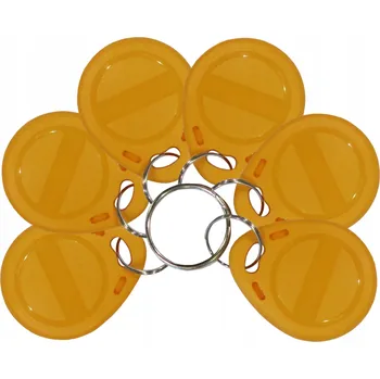 Přívěsek Na Klíče přívěšek Fotopol T5577 100 kusů RFID 125 kHz