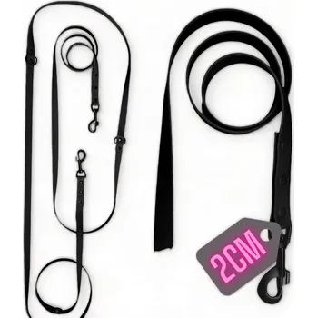 Vodítko pro psa VODÍTKO NASTAVITELNÁ, PŘEPÍNATELNÁ PVC BIOTHANE, VODĚODOLNÁ, 5 M, 4 PŘEPĚTÍ, 2 CM