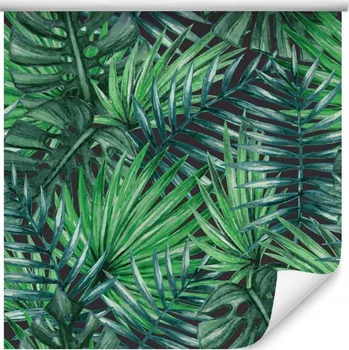 Fototapeta Tapeta krásné tropické listy /292406984