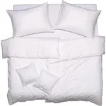 SCANquilt povlečení EXCLUSIVE TENCEL PLUS peříčka bílá 140 x 200/70 x 90 cm 183862771